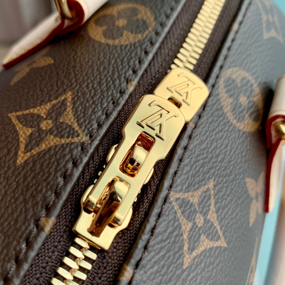 Louis Vuitton Speedy 20