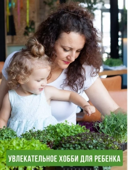 Лотки для выращивания микрозелени пластиковые 500 МЛ, 100 ШТ