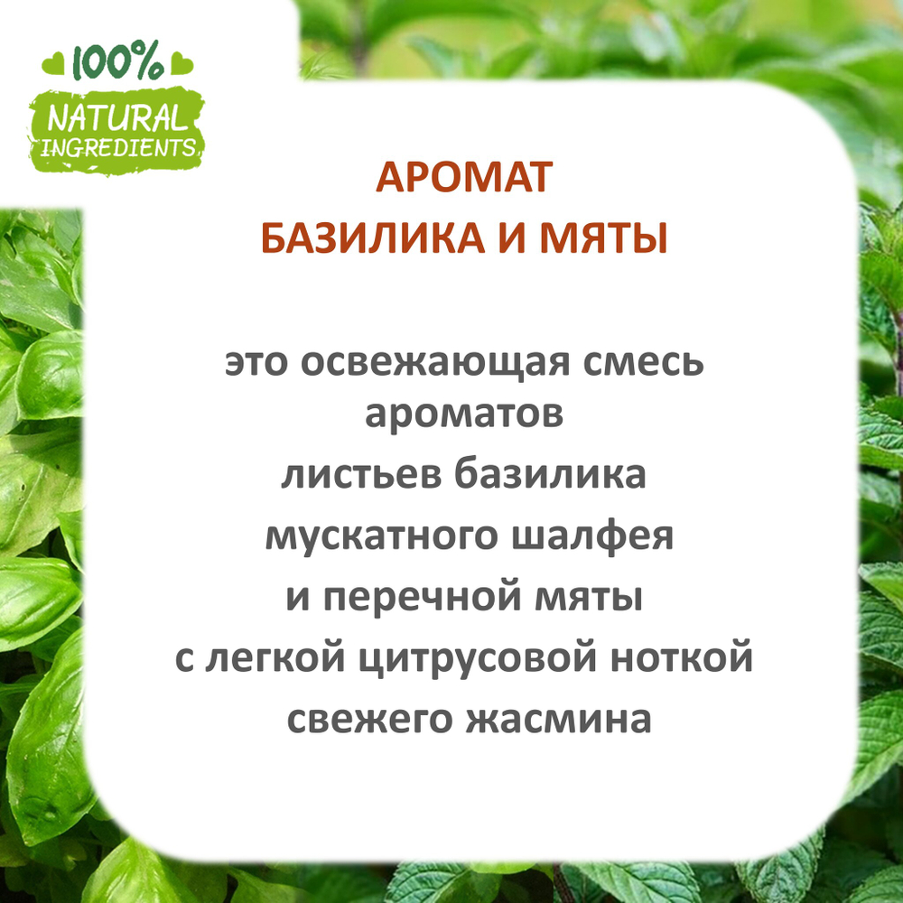 Базилик и мята, отдушка для свечей и мыла