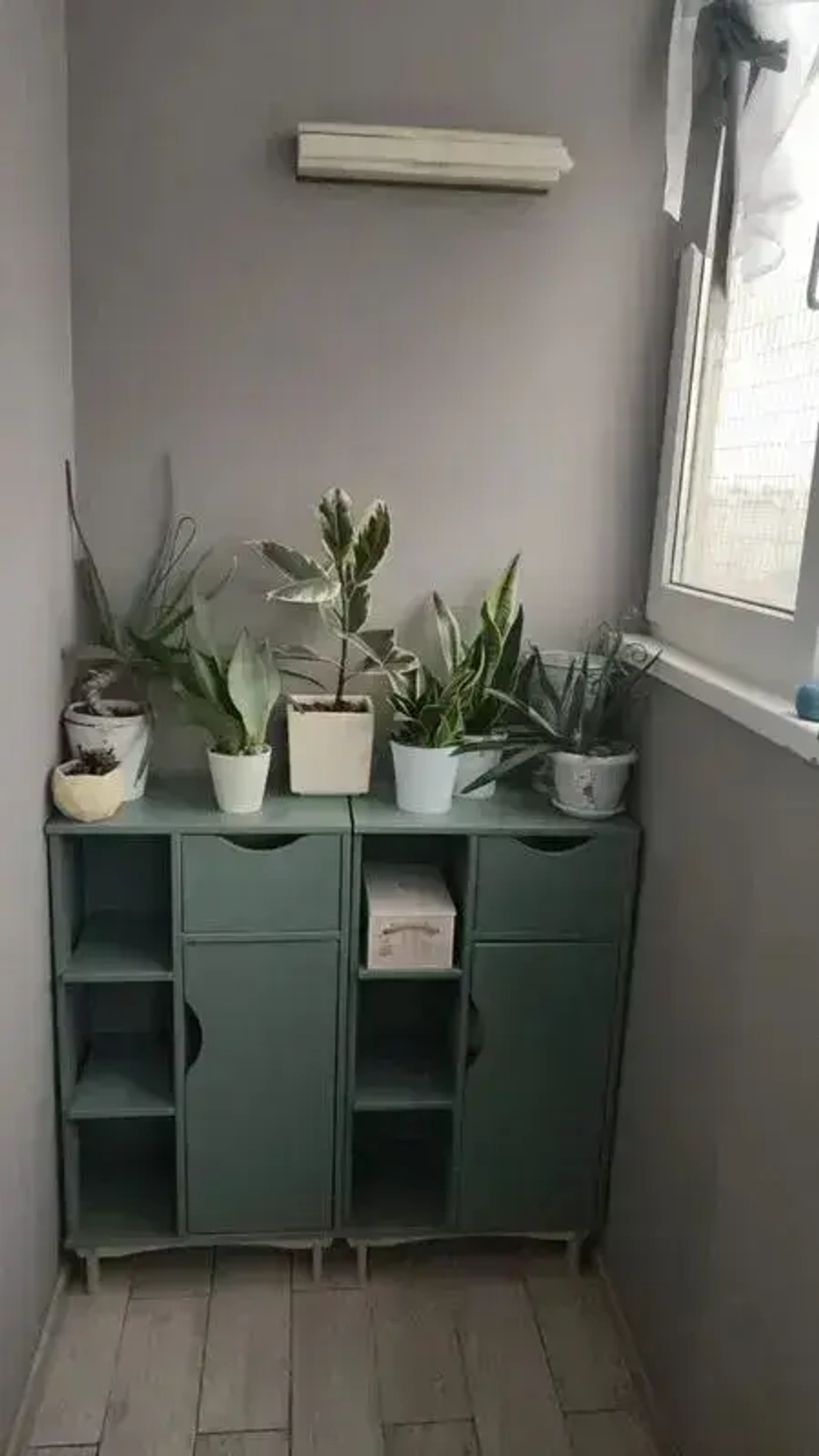 Эко Краска DECOR для мебели, декора и деревянных поверхностей, цвет Сеньорита петрушка