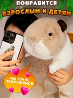 Мягкая игрушка хомяк морская свинка 22 см