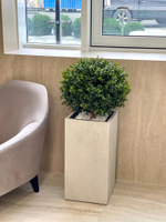 6.23. Искусственные деревья в кашпо для строительной компании "AVA Group"