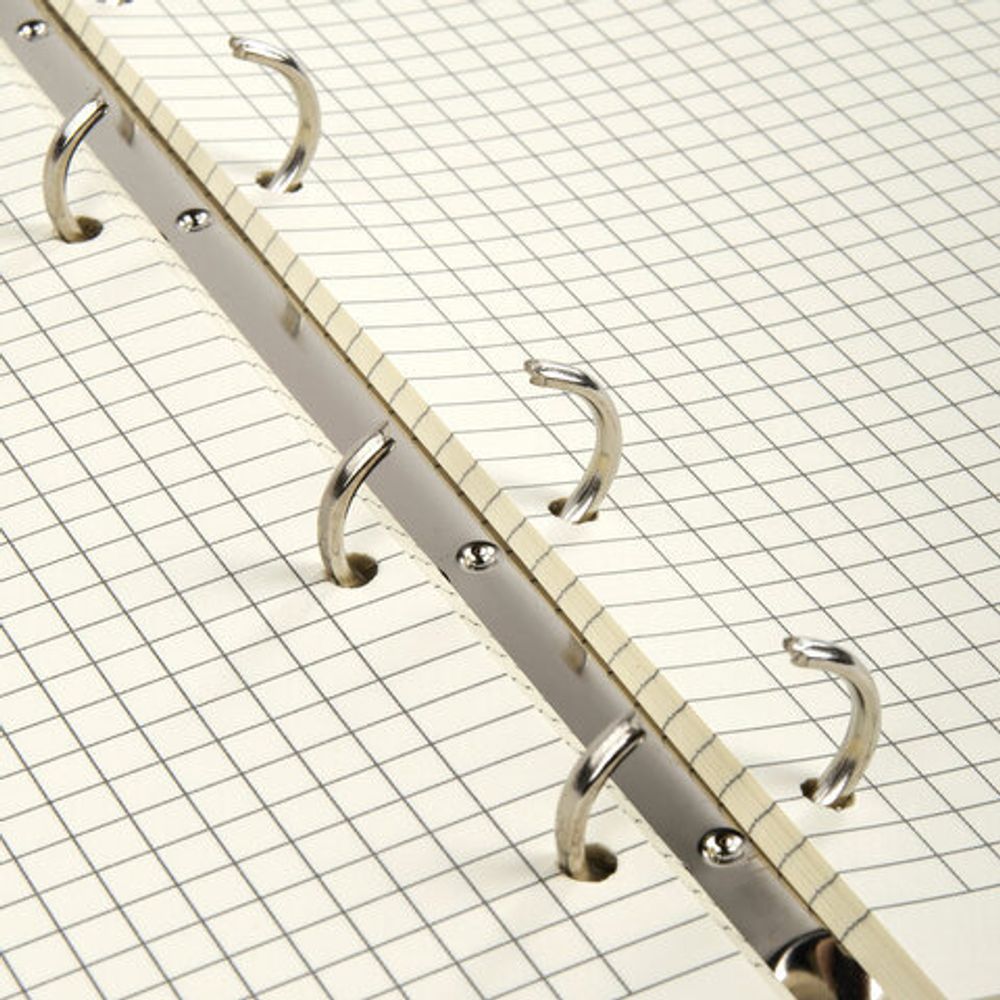 Тетрадь на кольцах А5 (180х220 мм), 80 л., под кожу, BRAUBERG VISTA, "Avenue", 112137