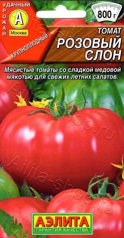 Томат Розовый слон