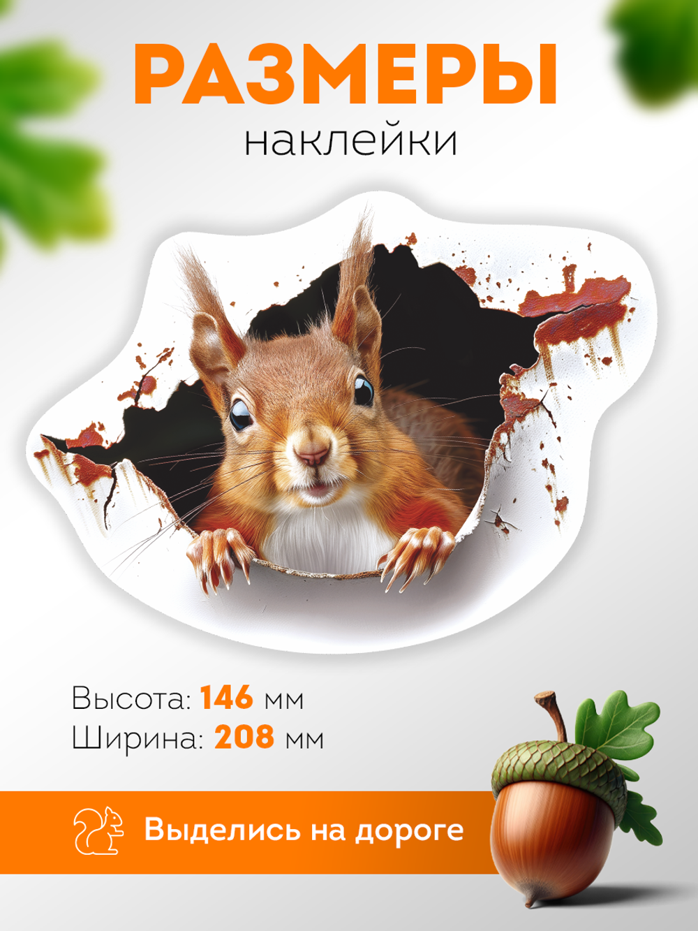 Наклейка автомобильная Белка выглядывает на белом фоне