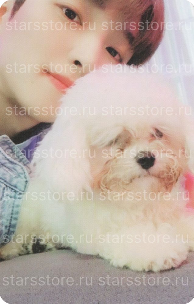 Фотокарта Sangyeon THE BOYZ - CHASE (WITHDRAMA) Фотокарта Sangyeon THE BOYZ - CHASE (WITHDRAMA)