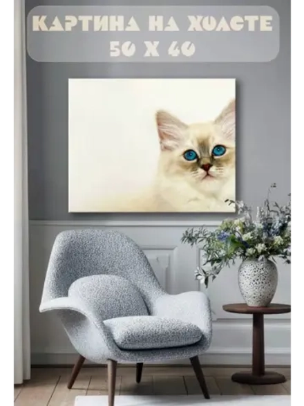 Картина на стену 40 X 50 Кот
