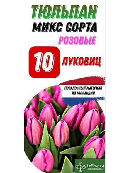 Тюльпан Луковица, Микс розовых сортов, 10шт