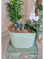 Кашпо для цветов комнатных 29*17,5 см