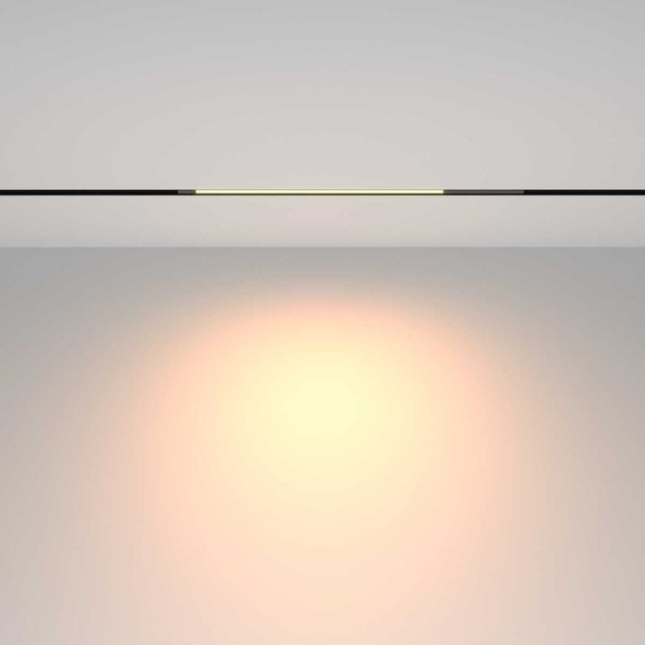 Трековый светильник Maytoni Technical TR231-2-10W3K-B