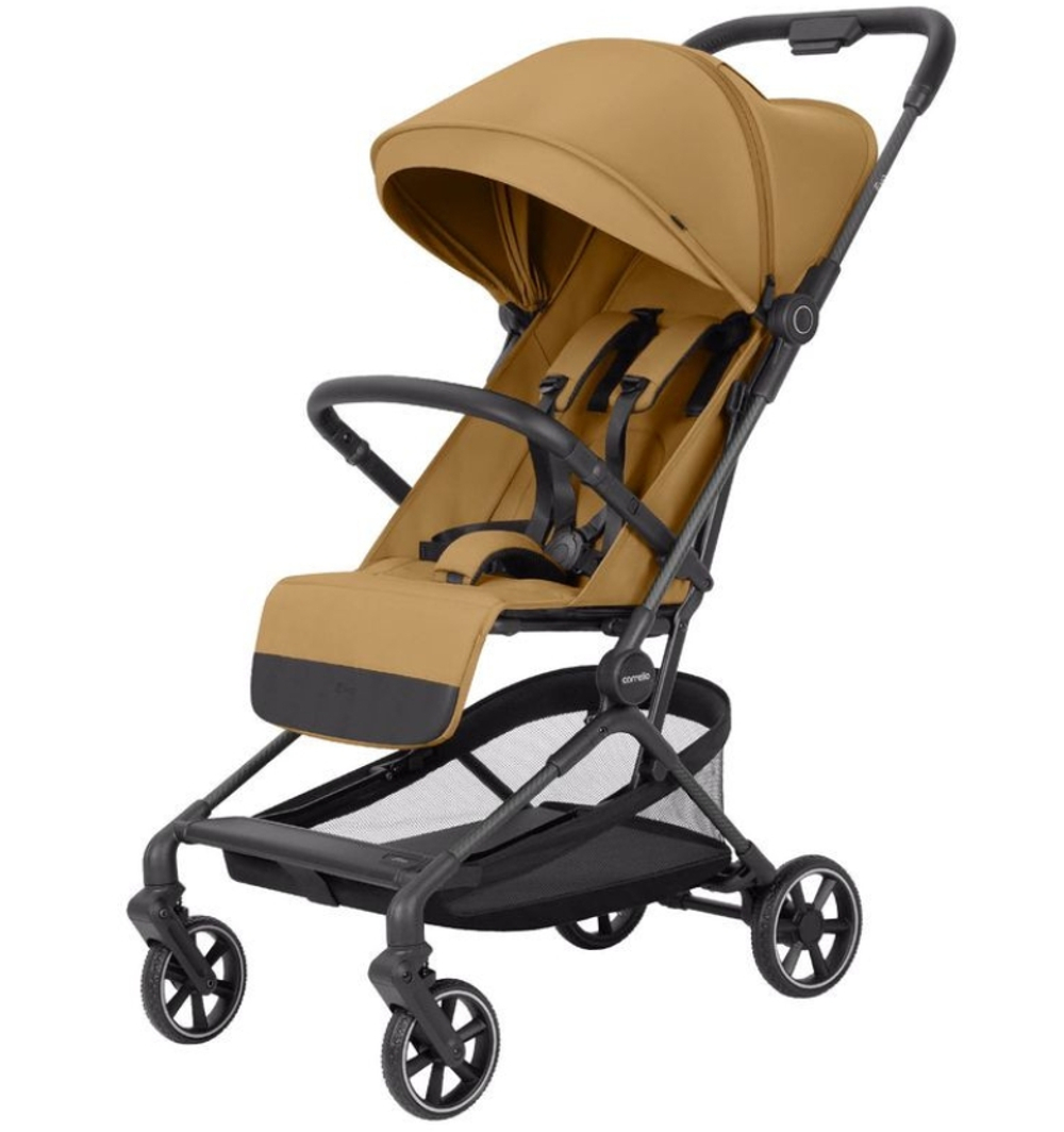 Коляска прогулочная Carrello Evo