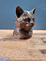 Котенок