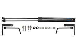 Упоры капота для CHANGAN CS55 Plus(I Рестайлинг) 2021-, Uni-S 2024-, к-т 2 шт ARBORI.HD.050105