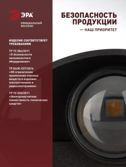 Светильник декоративный настенный накладной уличный фасадный светодиодный PICTOR WL57-2 BK IP54