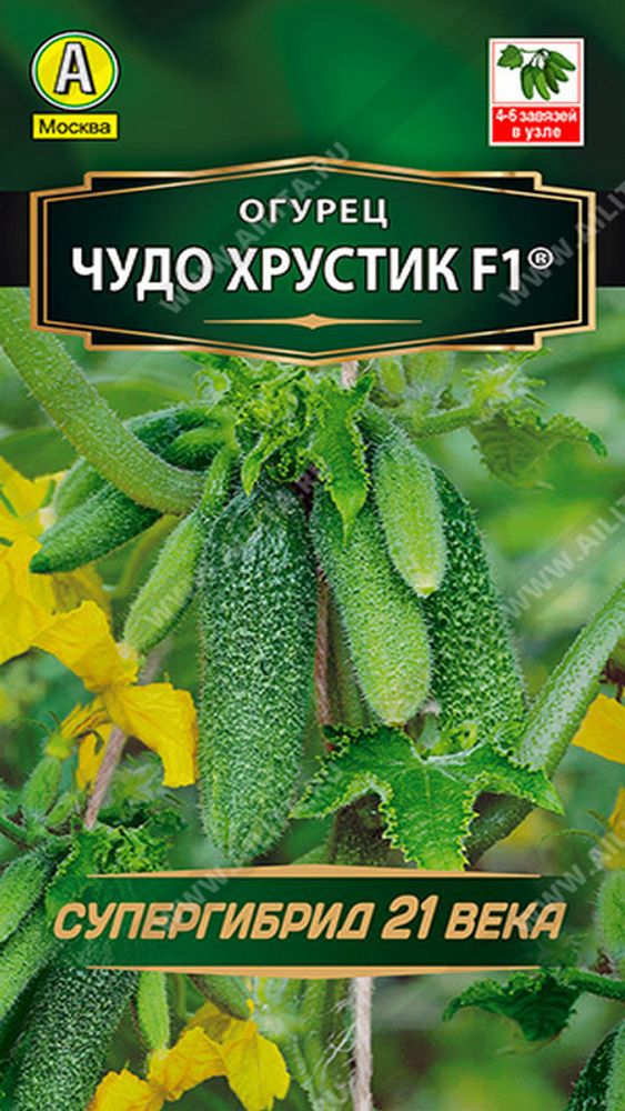 Огурец &quot;G. Чудо хрустик F1&quot; 10шт, Россия.
