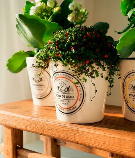 Виски - Пало Санто, свеча в фарфоре, Pour de Beau