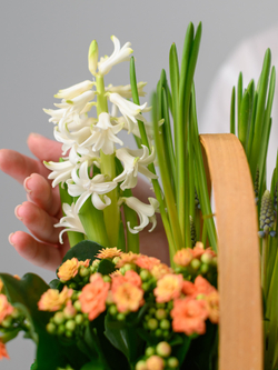 Весеннее настроение