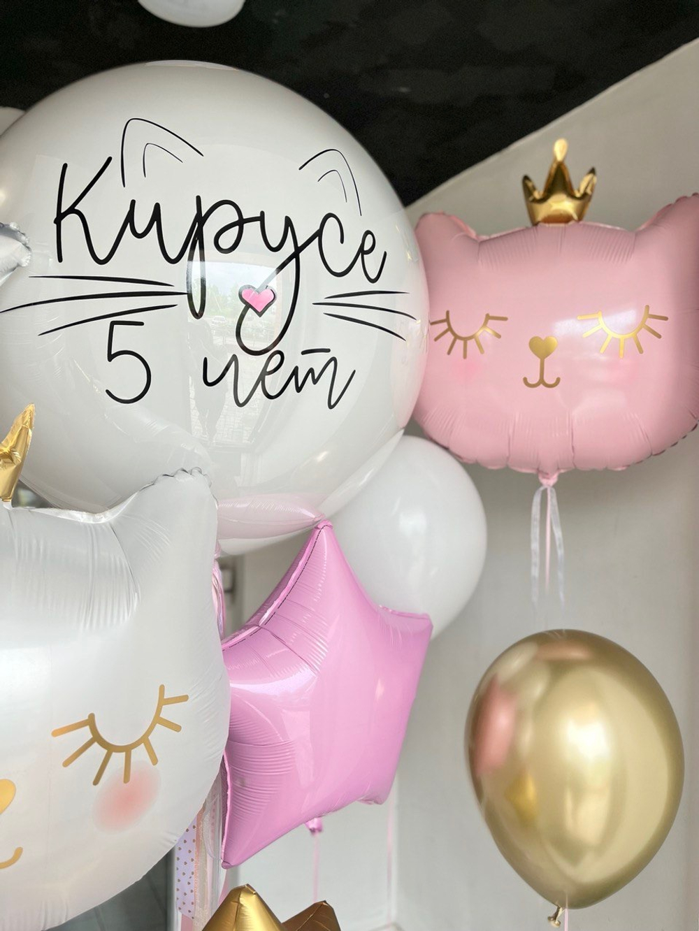 Воздушные шары Кошечка №642