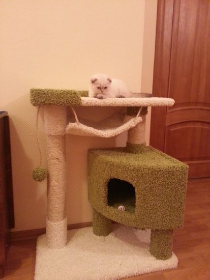 Когтеточка К-126