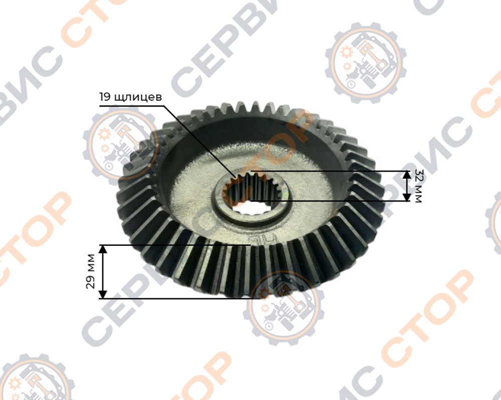 Z-4219-ZY254-RT-1