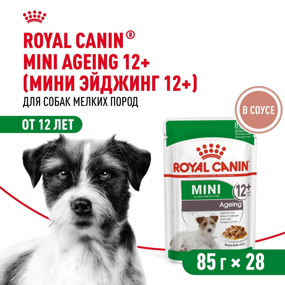 Royal Canin Mini Ageing 12+ Корм консервированный для стареющих собак мелких размеров 85г
