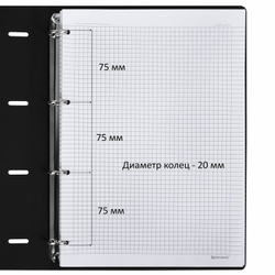 Тетрадь на кольцах БОЛЬШАЯ А4 (240х310 мм), 120 л., под кожу, BRAUBERG VISTA, "Пастельная", 404514