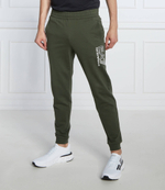 спортивные штаны EA7 - зеленый(3LPP72 PJ05Z)