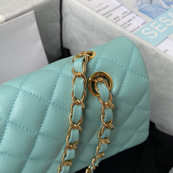 Chane1 Classic Flap Bag 25 cm