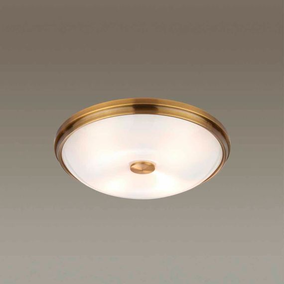 Потолочный светильник Odeon Light Walli Pelow 4956/4