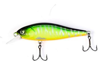 Воблер плавающий LJ Pro Series ANIRA F 06.90/305