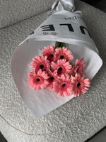 Кулек из герберы в нежно-розовом оттенке