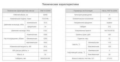 Насос 70БГ12-25АМ