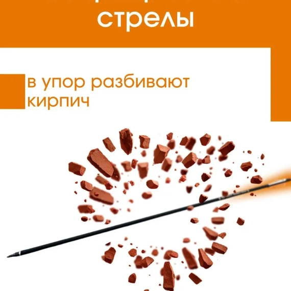 Стрелы для лука охотничьи 80см микс карбоновые спортивные Groza 12шт