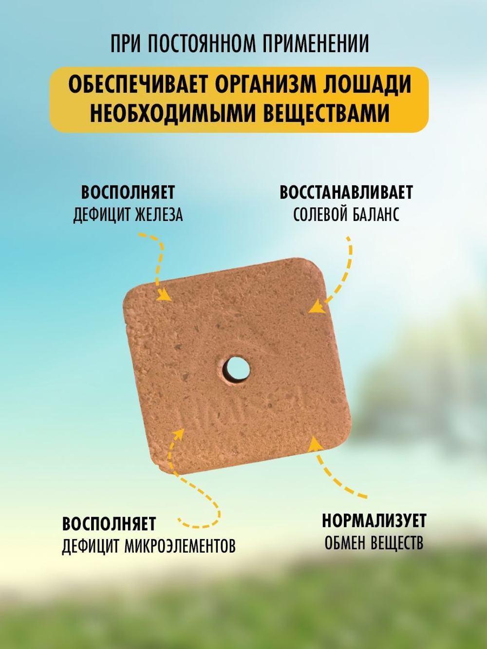 Соль лизунец  для животных лошадей Мустанг