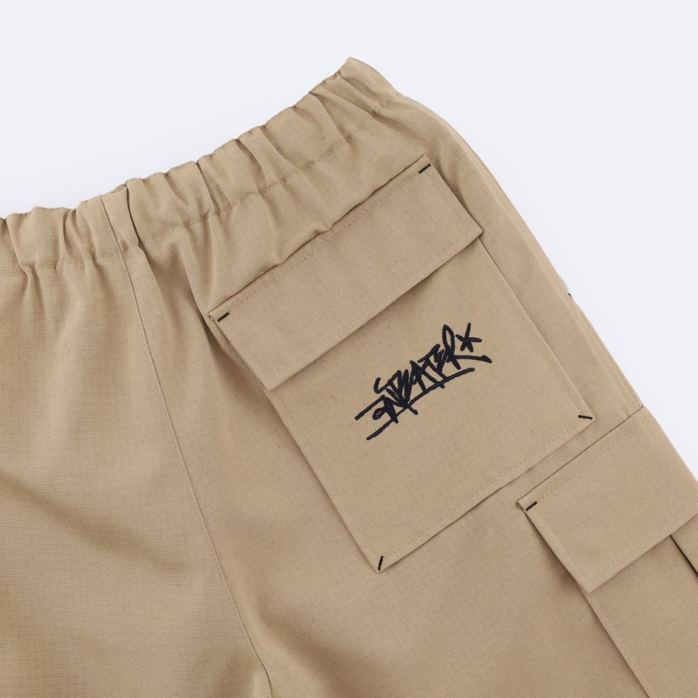 Шорты Anteater Wide Cargo Shorts (bage)