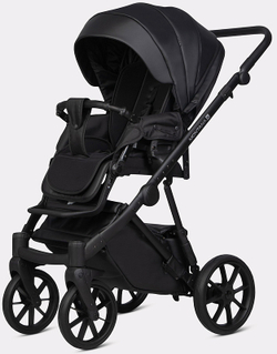 Детская коляска Riko Basic Montana X Ecco 2 в 1 12 Black (черный)