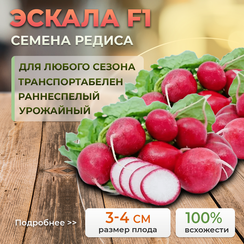 ЭСКАЛА F1 семена редиса (Enza Zaden | Alexagro)