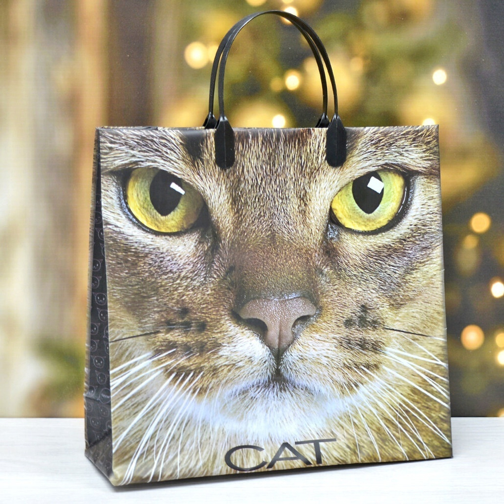 Пакет 30*30+10см из мягкого пластика "Кэт"