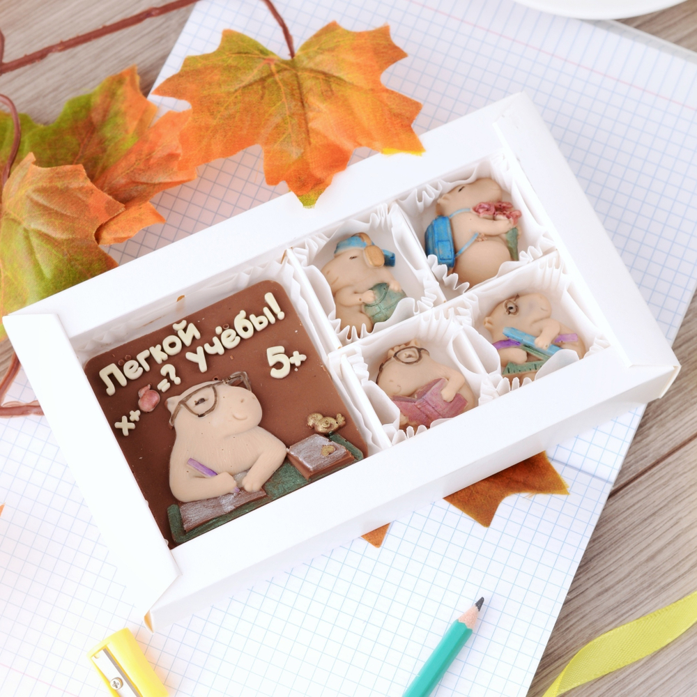 Набор шоколадный "Легкой учебы" #1 / Подарок на 1 сентября