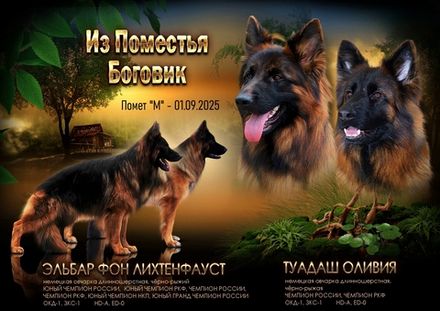 Помет "М" - 01.09.2025