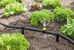 Системный шланг Kärcher Rain System®