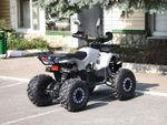 Lion 125 AA серый
