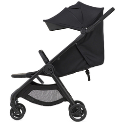 Детская коляска Anex iQ Basic NT 2 в 1 Nyx