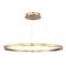 Подвесной светильник ST LUCE SL6238.343.01