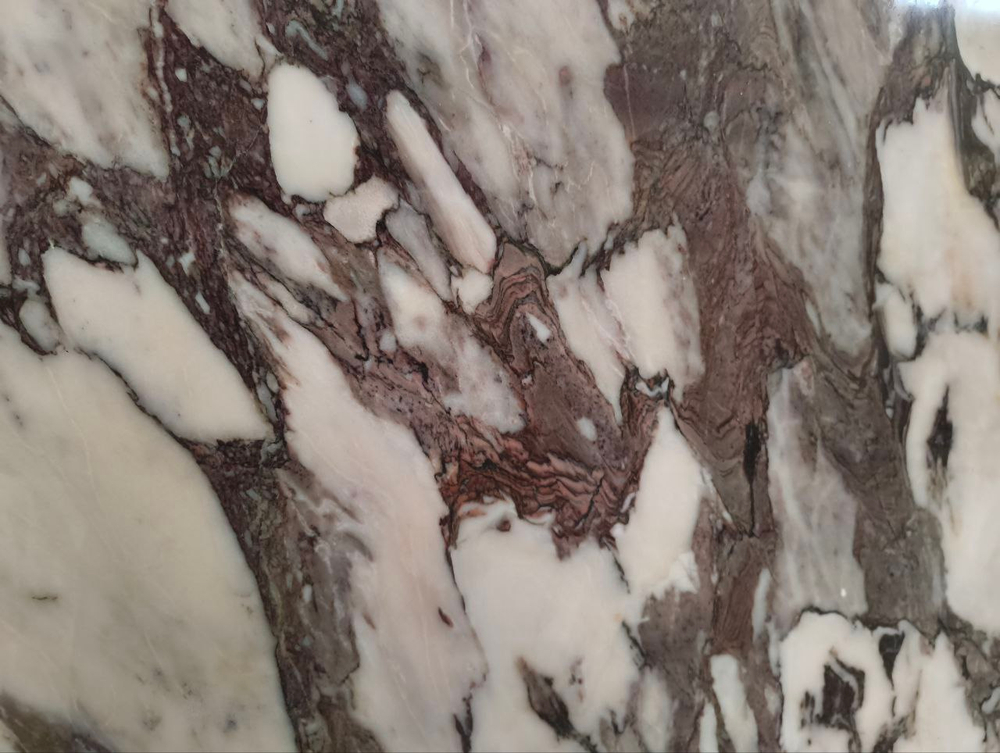 Каллаката Виола