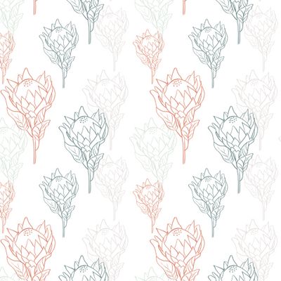 Цветы протеи в линейном стиле на белом фоне