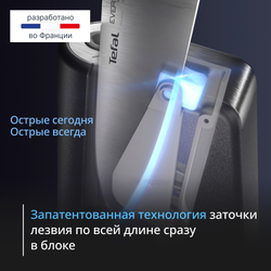 Набор ножей Tefal Ever Sharp Pro K2976S04 со встроенной точилкой, 5 ножей + блок