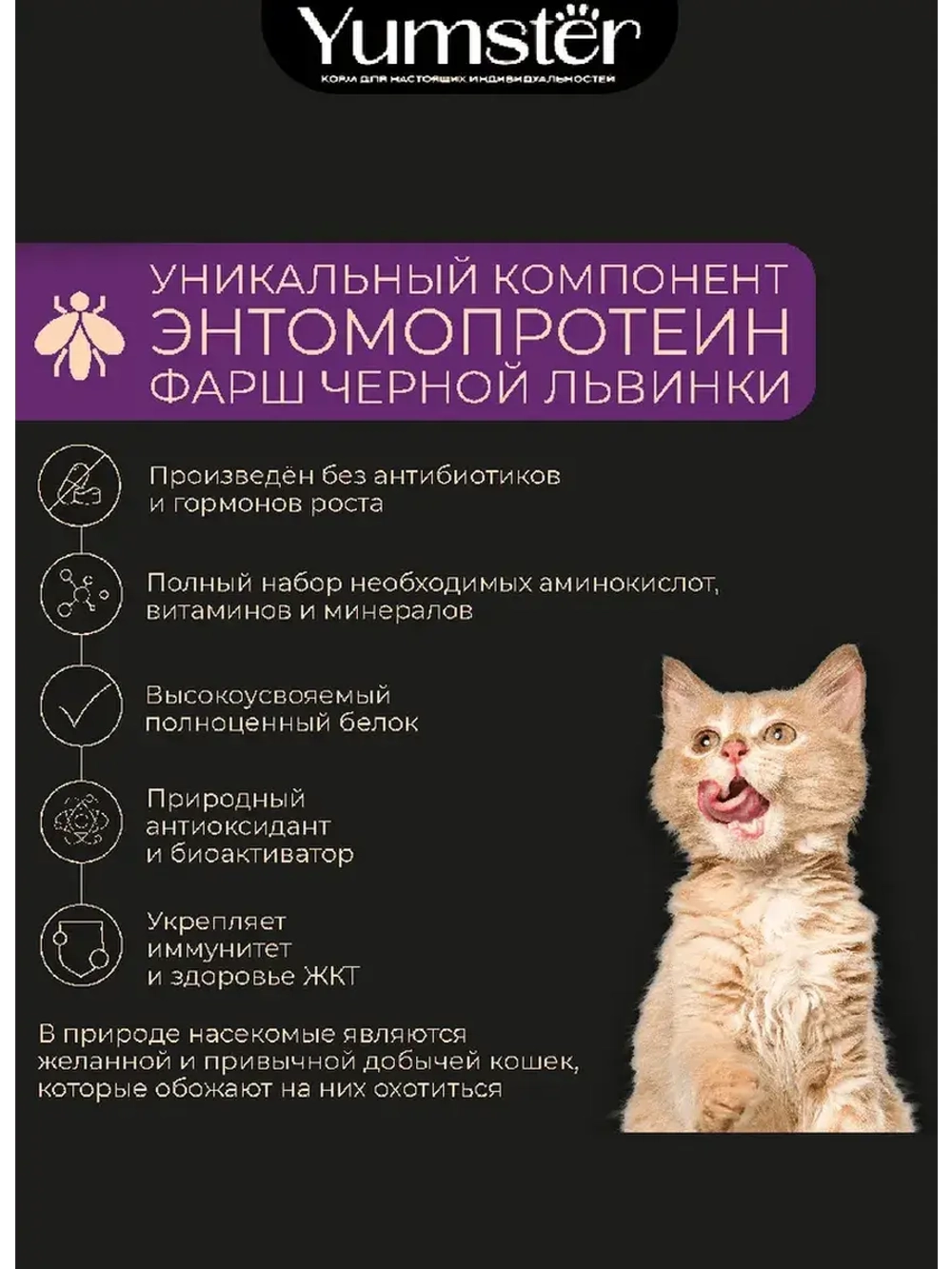 Влажный корм для котят, Индейка в соусе 85г х 36 шт.