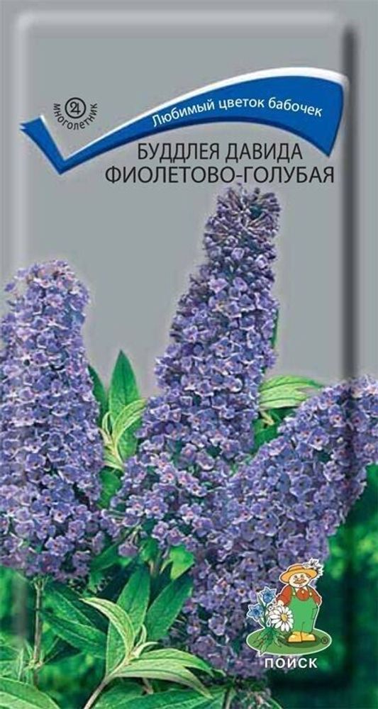 СЕМЕНА БУДДЛЕЯ ДАВИДА ФИОЛЕТОВО-ГОЛУБАЯ М 0.01Г