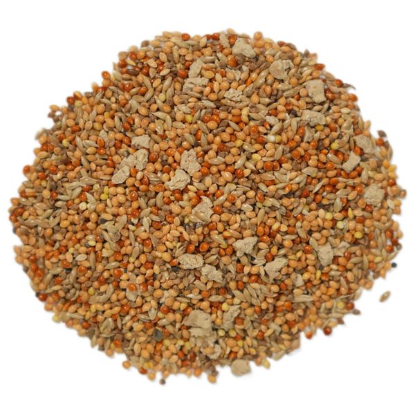 Корм Bambini Pets для экзотических птиц